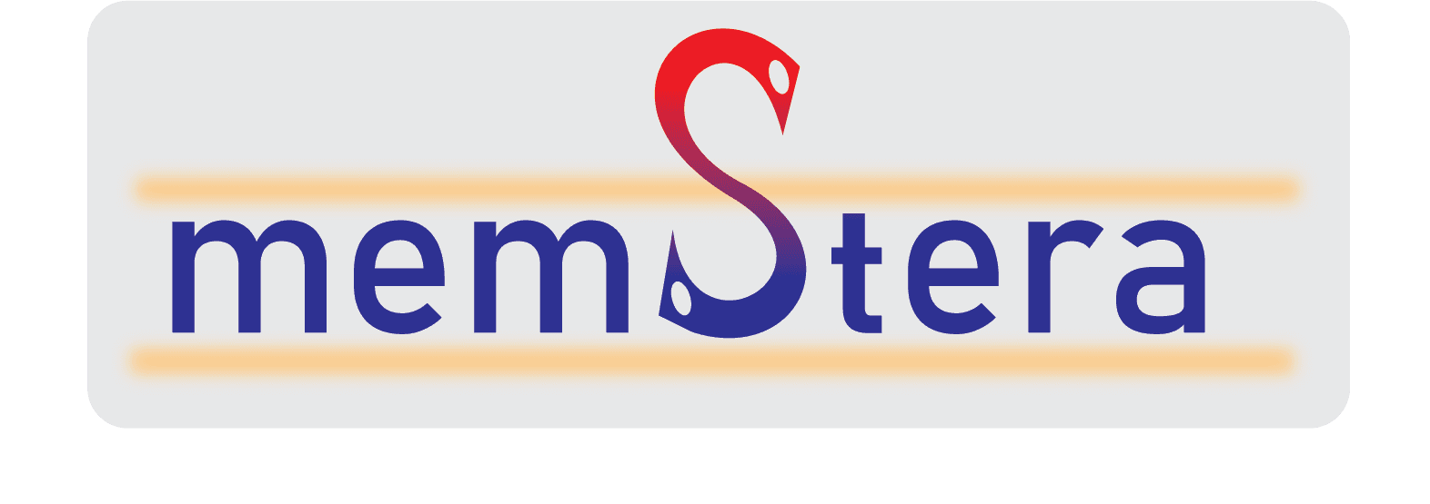 Memstera logo